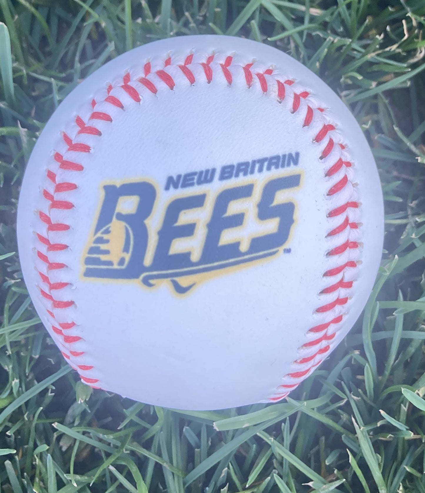 Bees Logo Souvenir Baseball