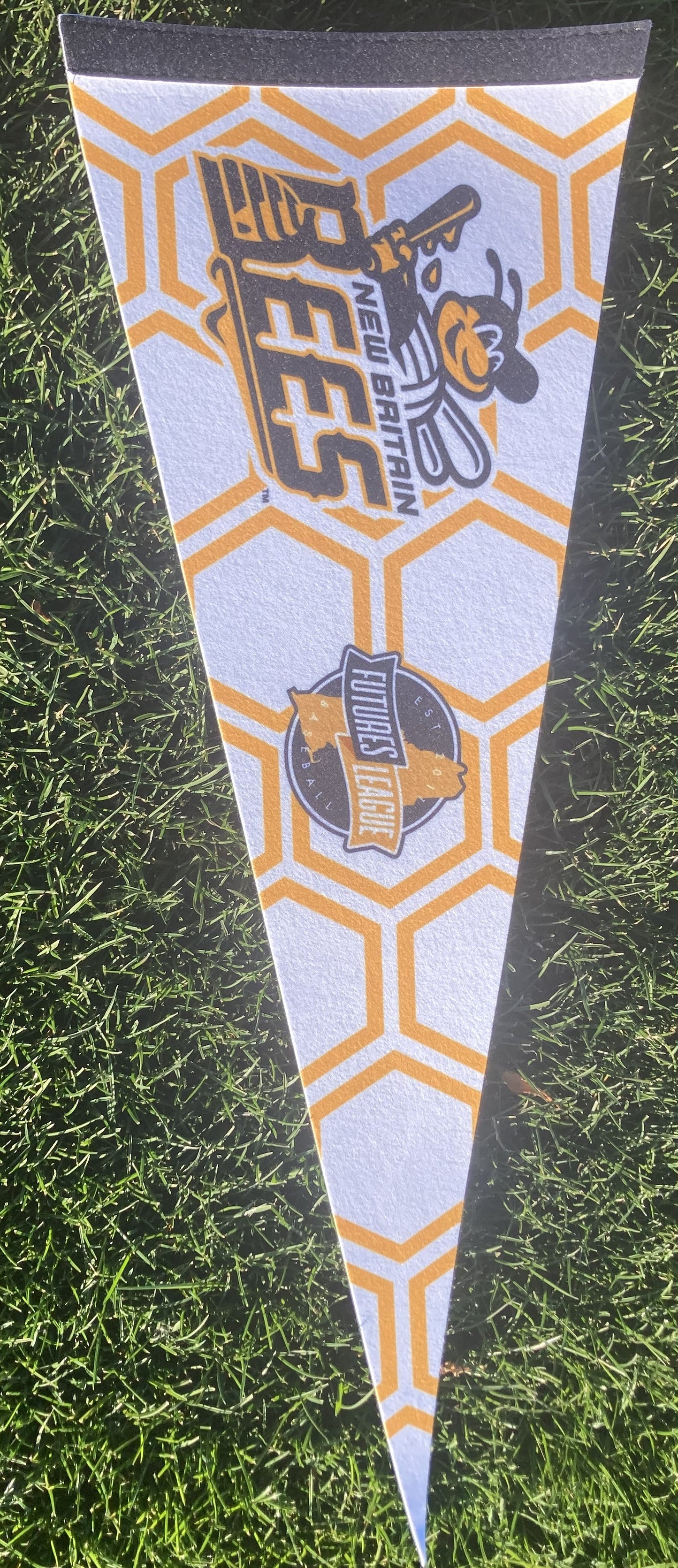Team Pennant